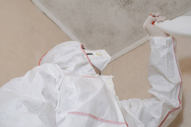 Best Preventive Mold Services in Asheville, NC